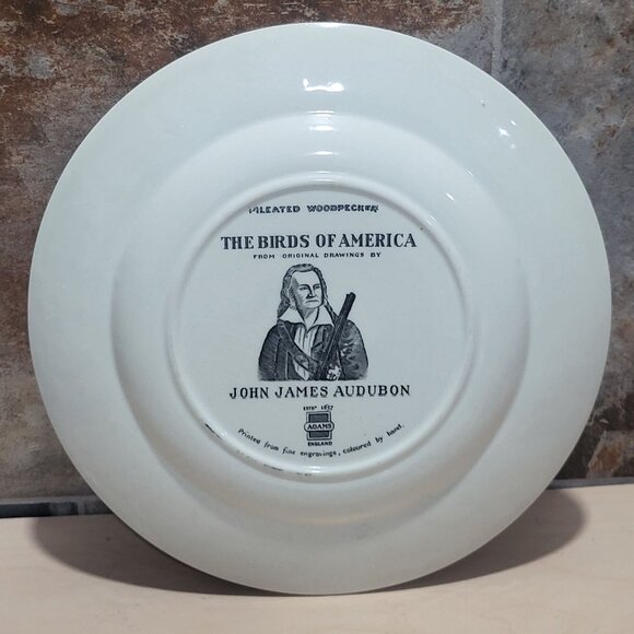 Vintage Adams England Audubon Birds of America Pileated Woodpecker Decorative Pl - Picture 2 of 11